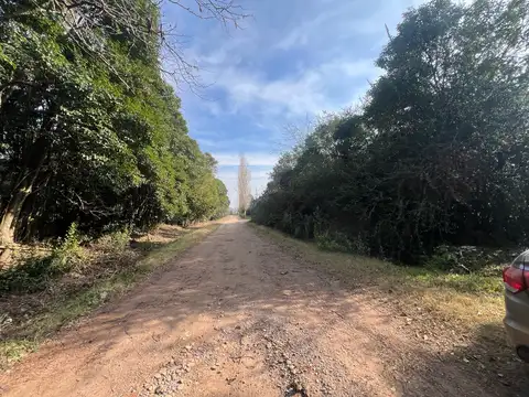 calle 114 e127 y 139