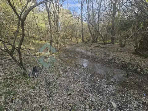 C.Virreynato al 1000