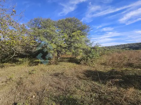 Terreno en Venta de 55000,0 m2