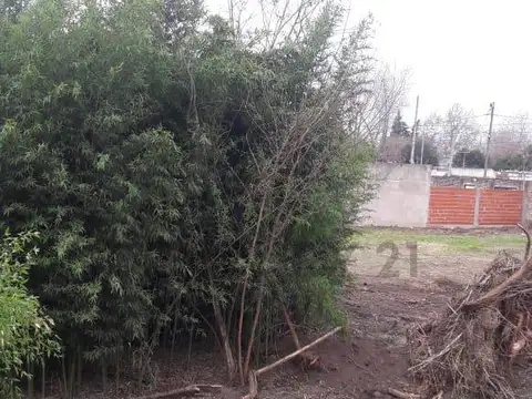 Terreno en Venta 25  mts Fondo