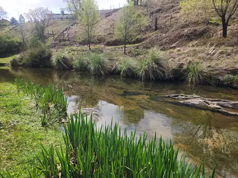 Terreno en Venta de 1684,0 m2