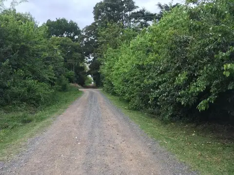 Terreno en Venta de 705,0 m2