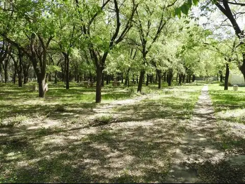 Terreno  Rio Ceballos