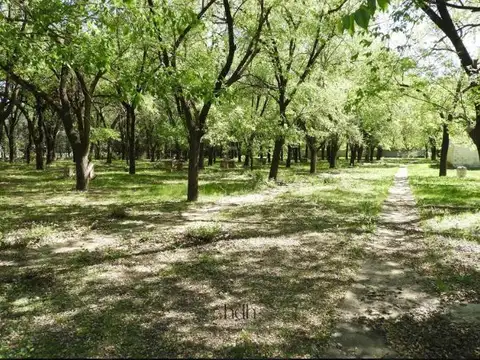 Terreno  Rio Ceballos