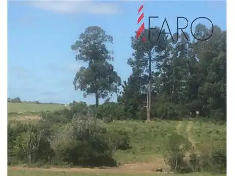 Chacra en Venta en Ruta 12 de 7,6 hectáreas