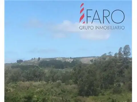 Campo en Venta Chacra