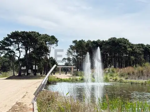 Terreno en Venta 24,50  mts Frente