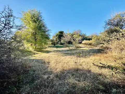 Terreno en Venta de 1246,0 m2