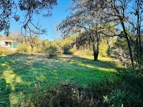 Terreno en Venta de 1246,0 m2