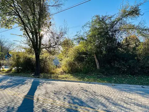 Avenida Bailon Bustos