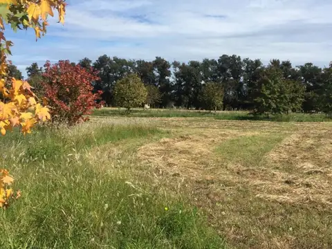 Campo En Venta De 17 Hectareas En Open Door, Lujan Gba Oeste