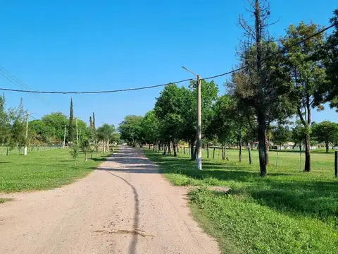 Monseñor Romero esquina Cocomarola Norte