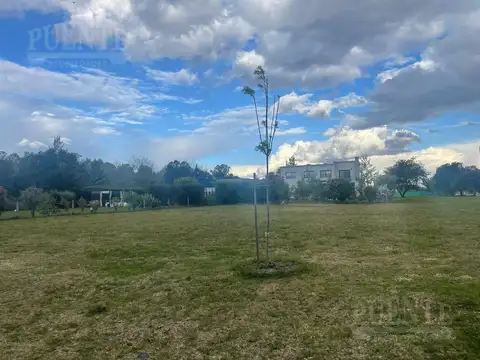 Terreno en Venta 20  mts Frente