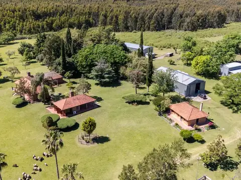 VENTA CAMPO 60H CASCO  Y GALPONES EN FRAY BENTOS