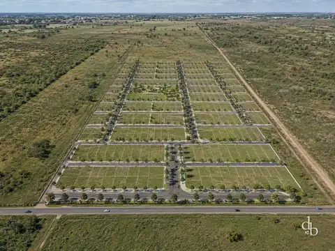 Arbolada del Camino de Las Flores. Ruta 16. Lote AN 24