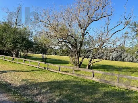 Terreno en Venta de 31381,0 m2