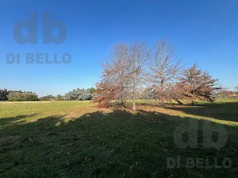 Terreno en Venta 231  mts Frente