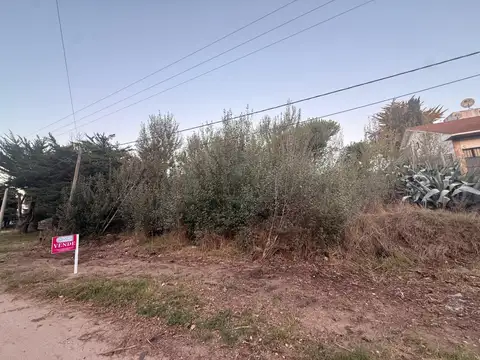 Avenida 4 4300
