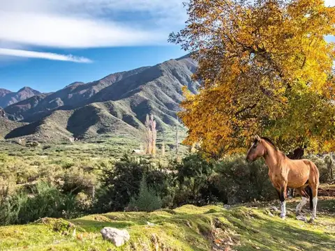 Terreno en Venta en Las Compuertas, USD 18.000