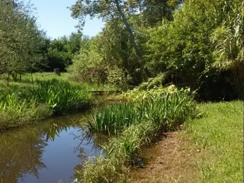 Quinta en Venta al Sureste