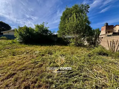 Los Alamos 100