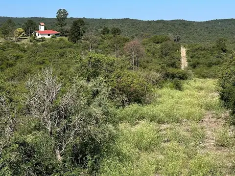 Terreno en Venta de 9285,0 m2