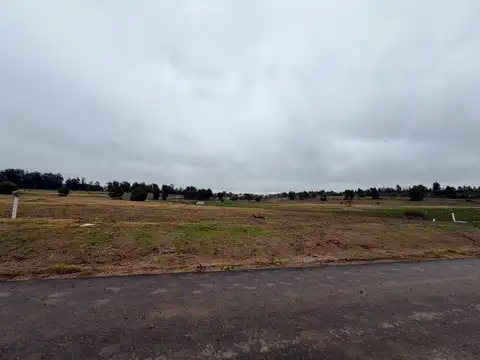Terreno en Venta de 1286,0 m2