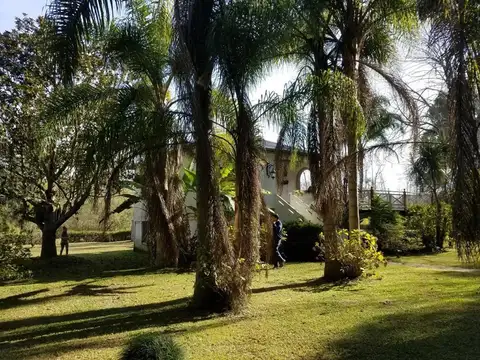 Rio / Arroyo Carapachay Bibelot 100