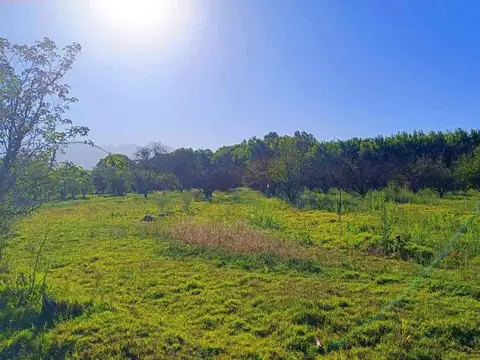 FINCA 11,5 HAS. EN COLONIA LAS ROSAS - TUNUYÁN