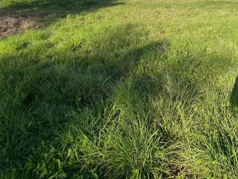 Pje Remanso Lote de 1309 m²