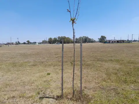 Terreno en Venta en Fincas Joven, USD 24.000