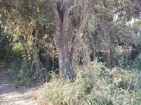 Terreno en Venta en San Agustín, USD 22.000