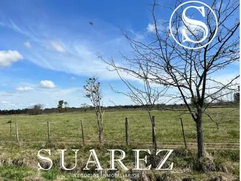 CAMPO EN VENTA FINANCIADO CHACRAS DON LUIS MERCEDES