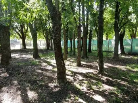 Terreno en Venta en Cortines, USD 32.000