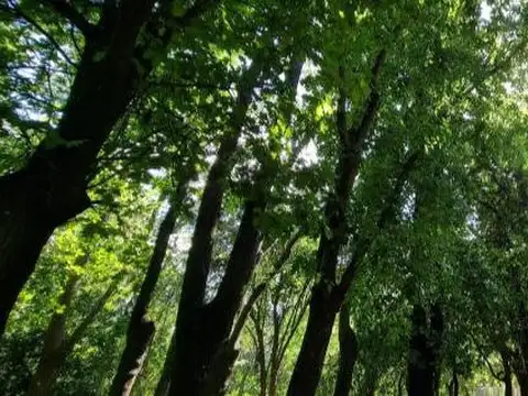 Terreno en venta en Cortines, Luján
