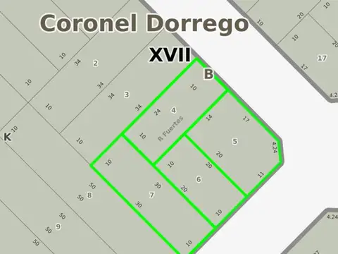 Terreno en Venta en Coronel Dorrego, USD 28.000