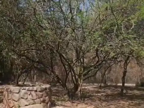 Terreno en Venta de 1600,0 m2