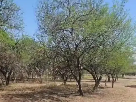 Terreno en Calderilla