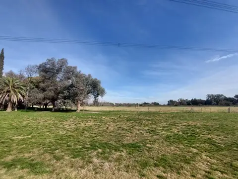 CAMPO 7.5 HECTÁREAS EXCELENTE ZONA PILAR FATIMA