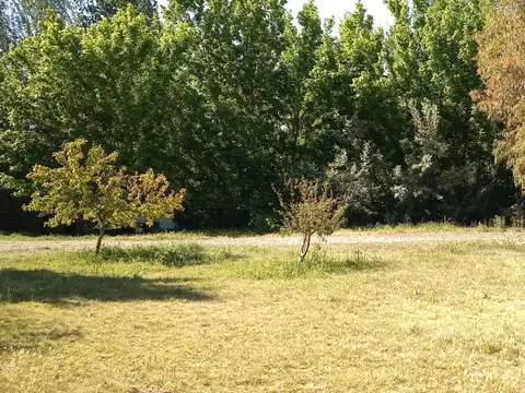 Terreno en Venta en Plottier, USD 50.000