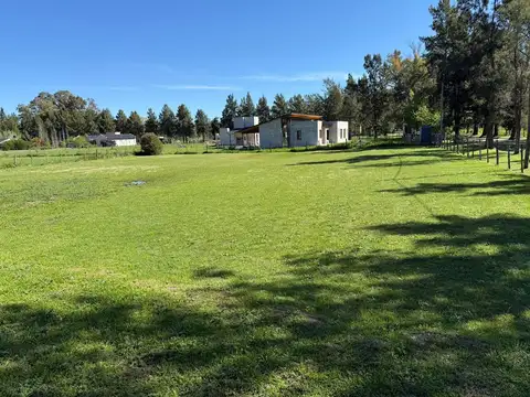 Aristóbulo del Valle 1300