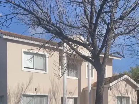 San Andres Tigre 100