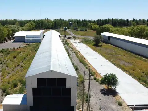 ALQUILER GAPON apto Industria, Allen