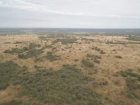 Campo - Santiago Del Estero