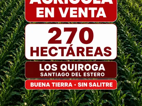 Campo - Santiago Del Estero