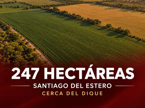 Campo - Santiago Del Estero