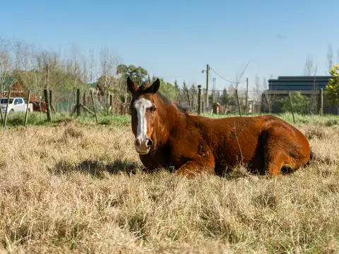 LOS FRESNOS -QUINTAS DE URIBE -Lotes de 2000 a 2800 m2