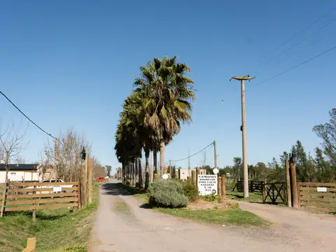 Terreno en Venta 50  mts Frente