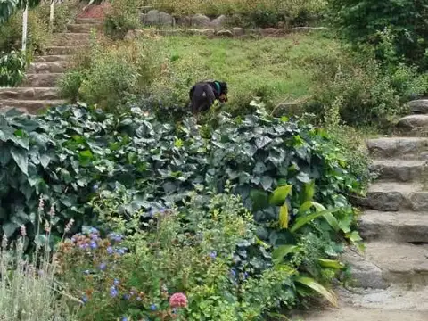 Casa en Venta en La Cumbre, USD 290.000