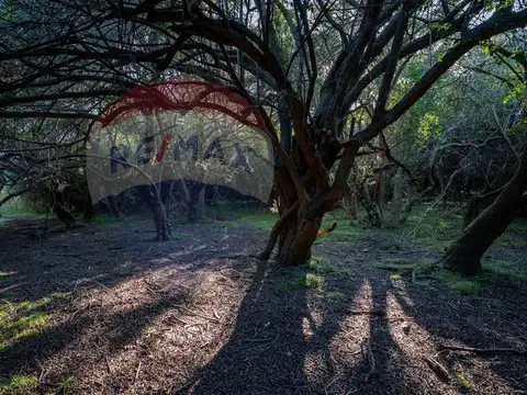 Chacra en venta Las Flores - Lanzamiento